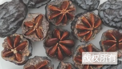 乌栆