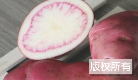 昌果红土豆