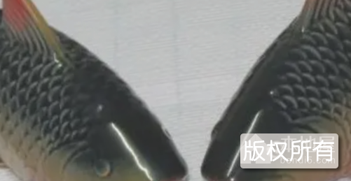 清汤鸳鸯鱼