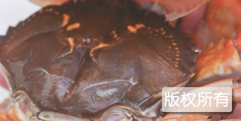 原汁蒸重壳蟹