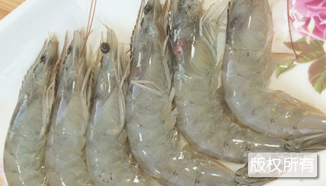 白马湖青虾