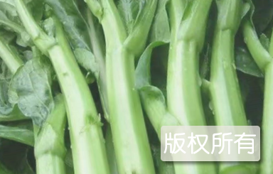 金钩青菜心