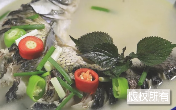 何田清水鱼