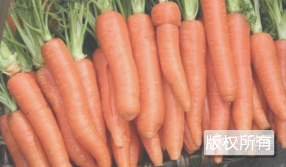 胡萝卜