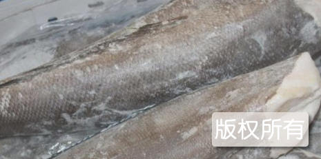 巴马油鱼