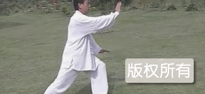 杨氏太极拳