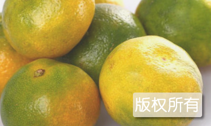 宜昌蜜桔