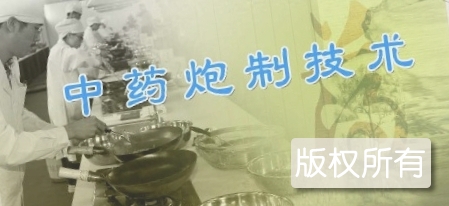 成都中药炮制技艺