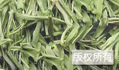 贡菜