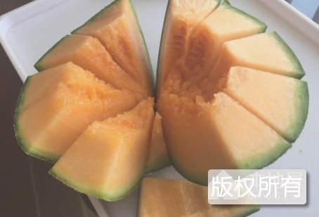 安迪尔瓜