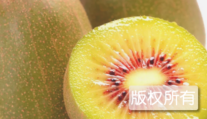 多营弥猴桃