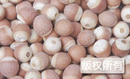 肇庆芡实