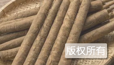 丰县牛蒡