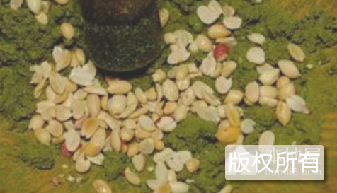 擂茶粥