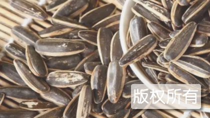 珍珠黑香瓜子