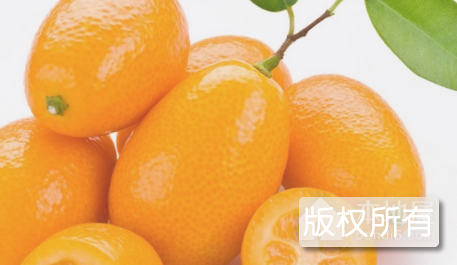 融安金桔