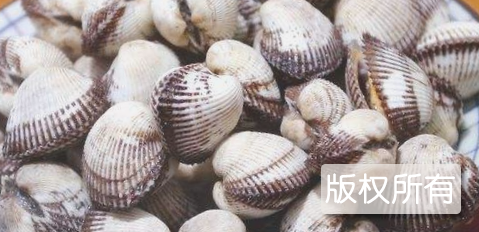 白灼毛蛤