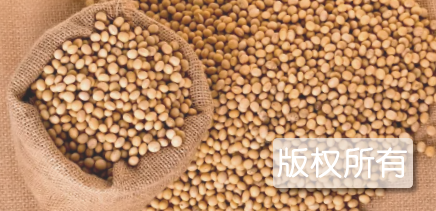 黑龙江大豆