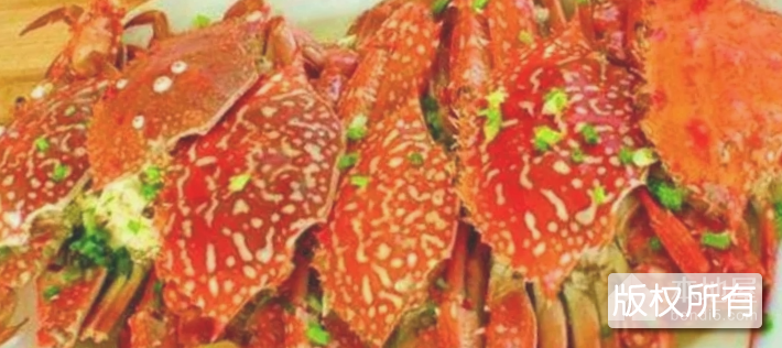 湛江蟹