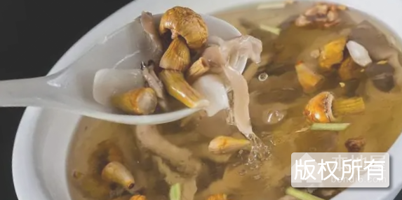 蘑菇煲