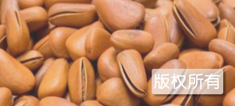 方山松籽