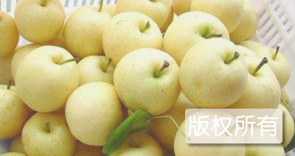 安居黄金梨