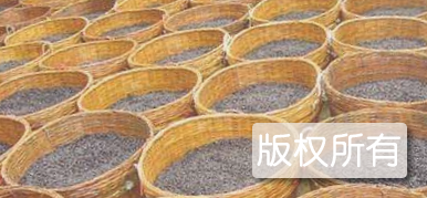 南昌塔城豆鼓制作技艺