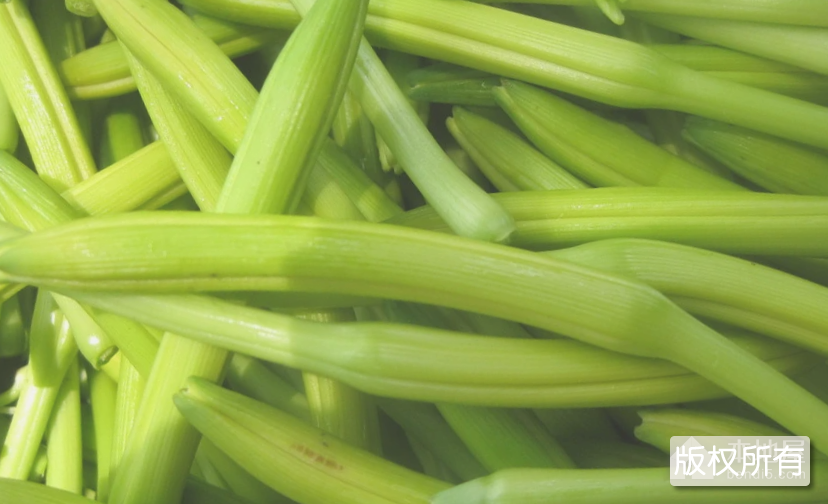缙云黄花菜