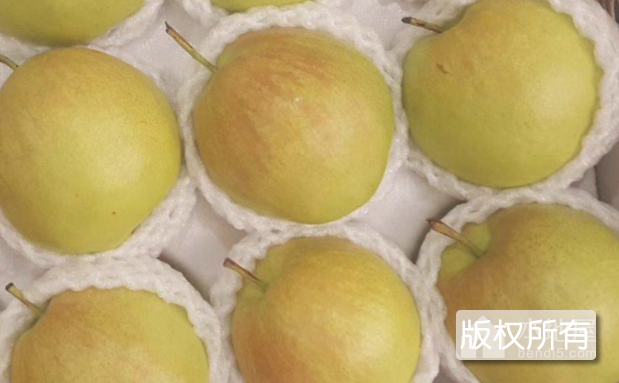 隰县玉露香梨