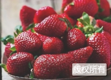 黑山谷草莓