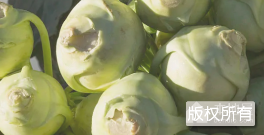 香龙大头菜