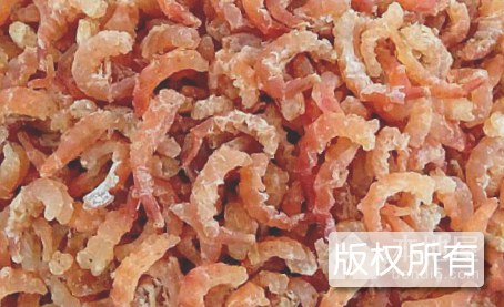 金钩虾米