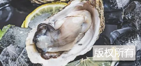 霞美牡蛎