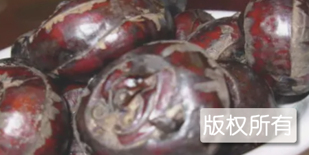 苏荠