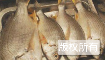 海腊鱼