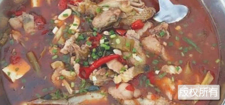 江口鱼