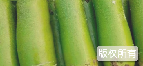 坡河萝卜