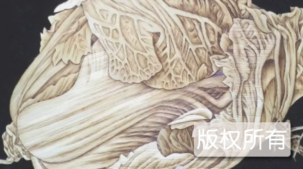 清丰麦秸画