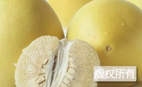 营山冰糖柚