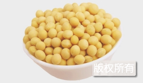 泽州黄豆