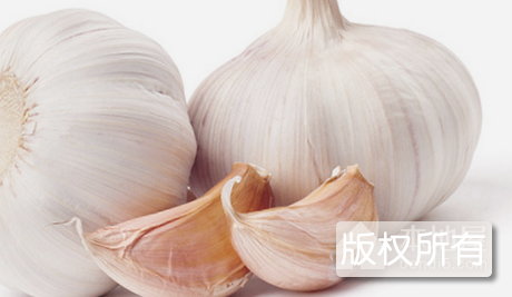 九都大蒜