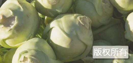 宜宾大头菜