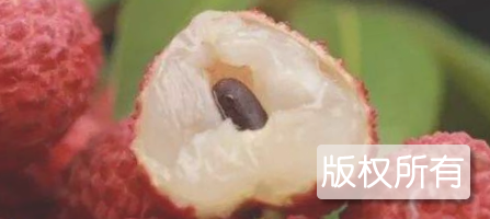 灵山香荔