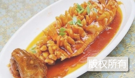 松鼠黄鱼