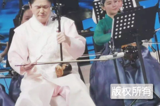 朝鲜族奚琴艺术