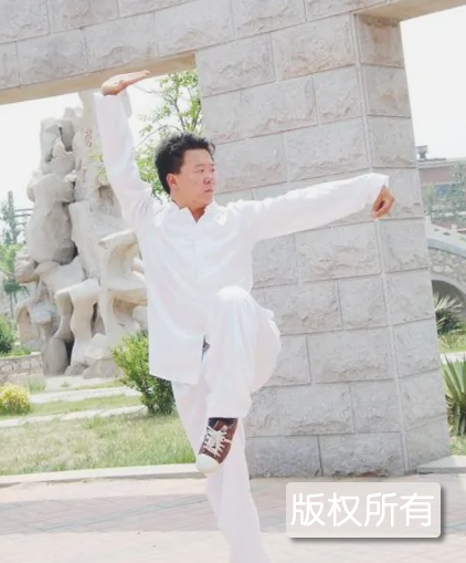 李氏迷踪拳