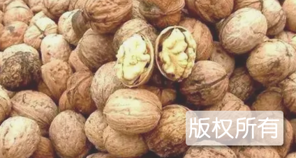 东岗核桃