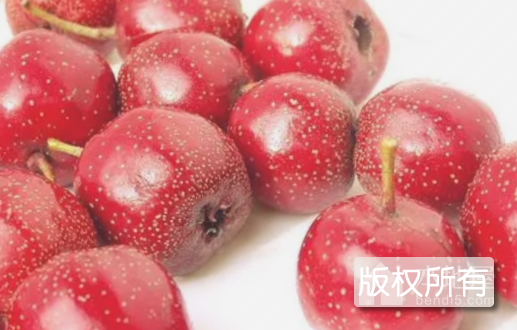 明珠红果