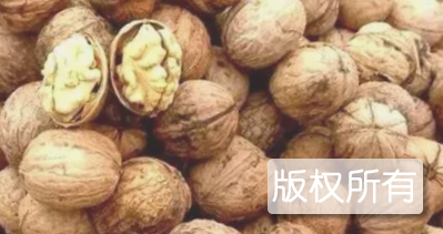 日照核桃