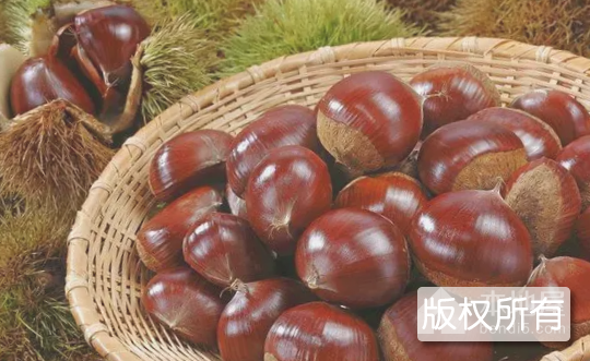 宜秀板栗